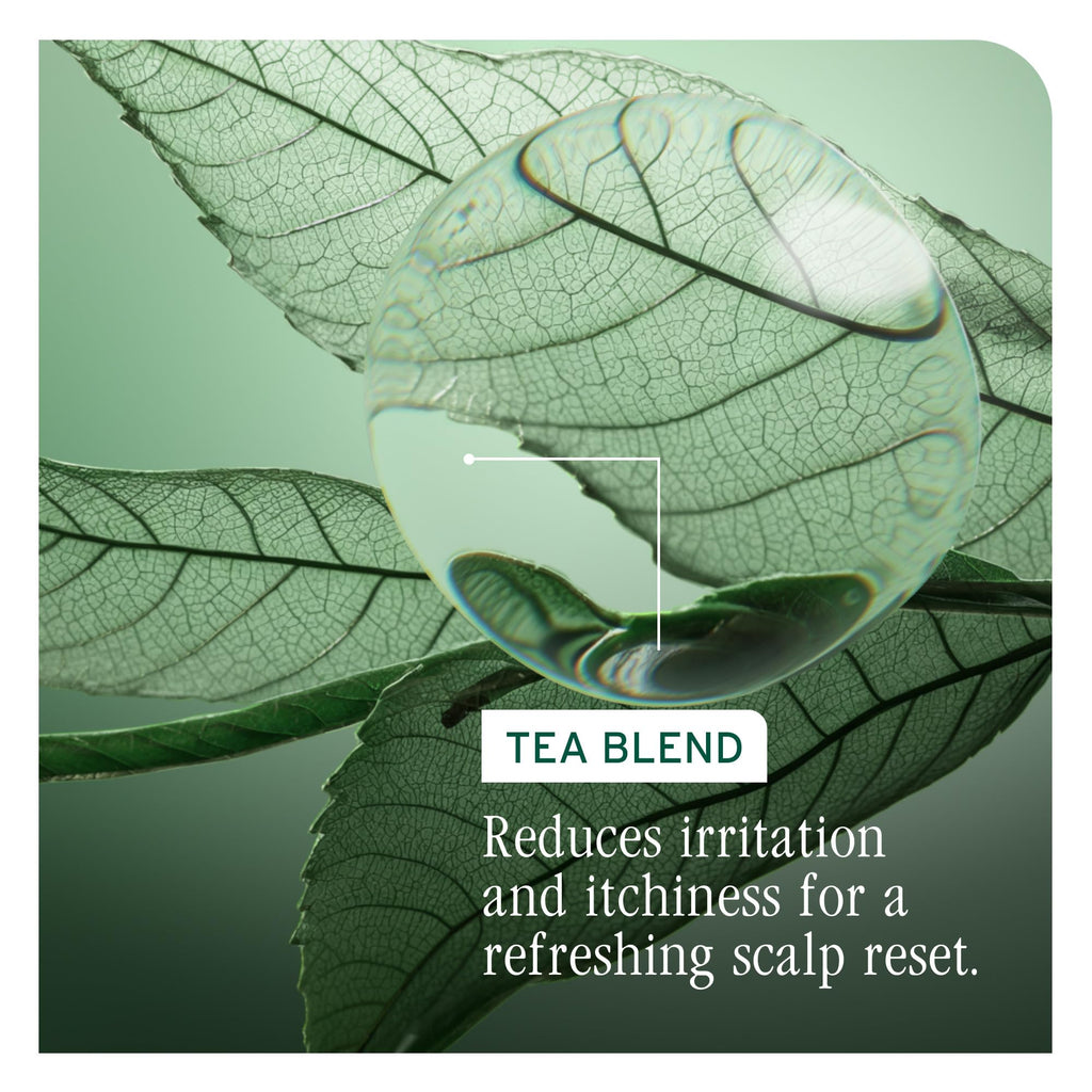 Biolage Scalp Sync Anti-Dandruff Shampoo with Zinc Pyrithione